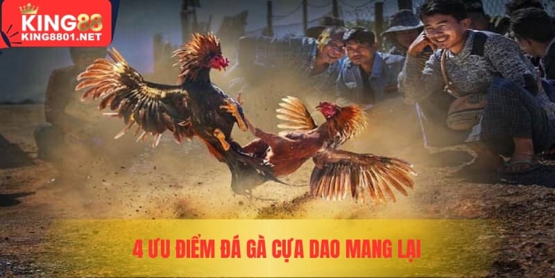4 ưu điểm đá gà cựa dao mang lại