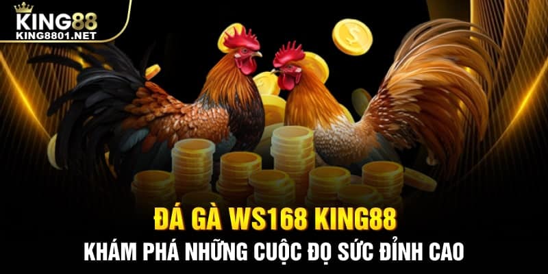Sảnh đá gà WS168 king88