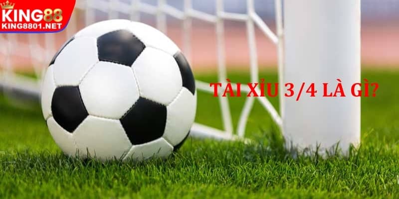 Tìm hiểu khái niệm Tài Xỉu 3/4