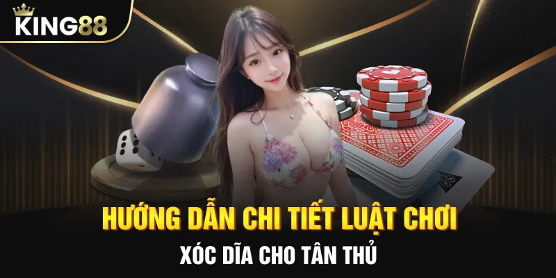 Hướng dẫn chi tiết luật chơi xóc dĩa cho tân thủ
