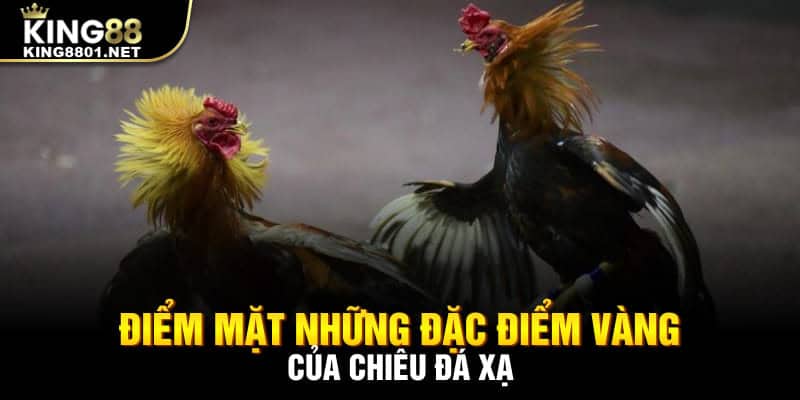 Điểm mặt những đặc điểm vàng của chiêu đá xạ