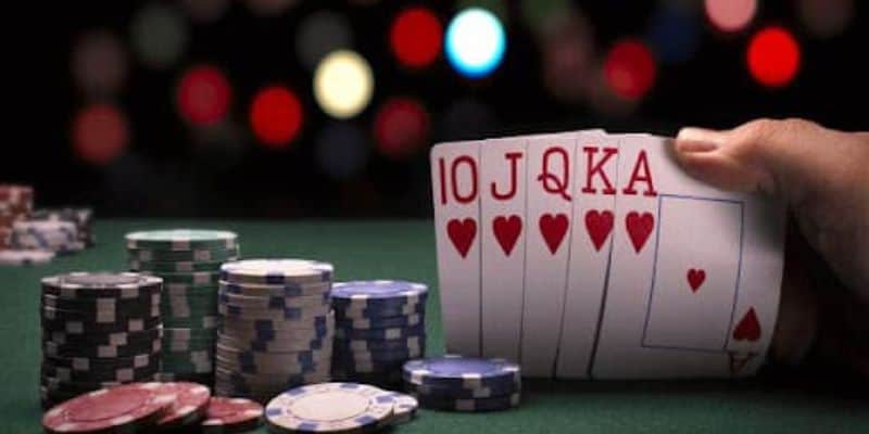 Tổng quan về khái niệm bài Catte là gì?