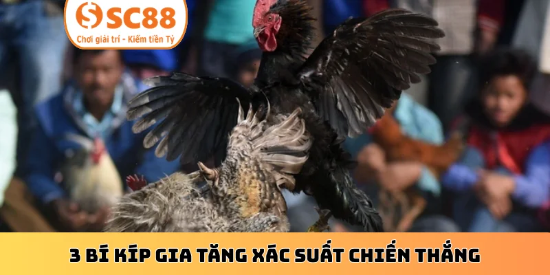 3 bí kíp gia tăng xác suất chiến thắng