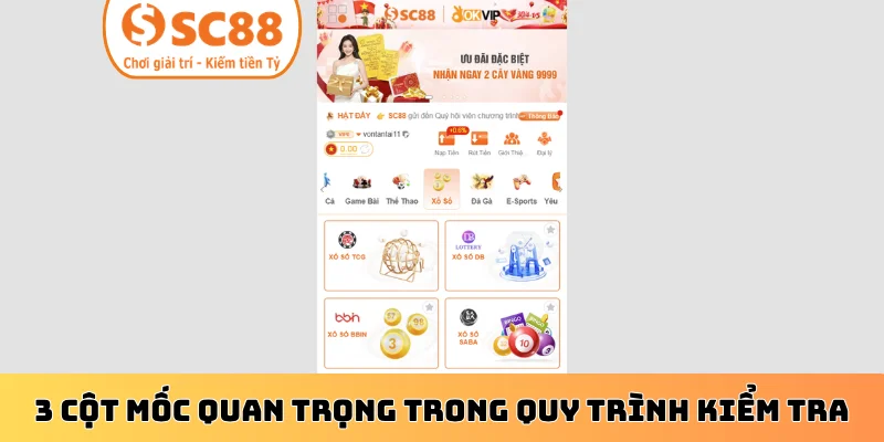 3 cột mốc quan trọng trong quy trình kiểm tra