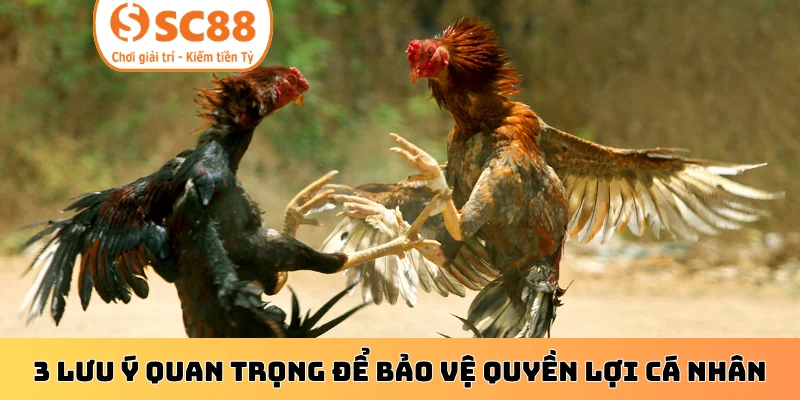 3 lưu ý quan trọng để bảo vệ quyền lợi cá nhân