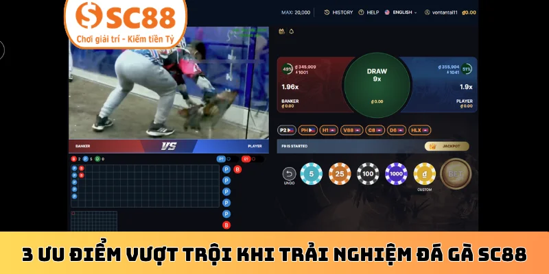3 ưu điểm vượt trội khi trải nghiệm đá gà SC88