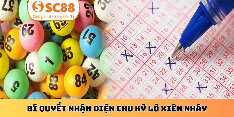 Bí quyết nhận diện chu kỳ lô xiên nháy