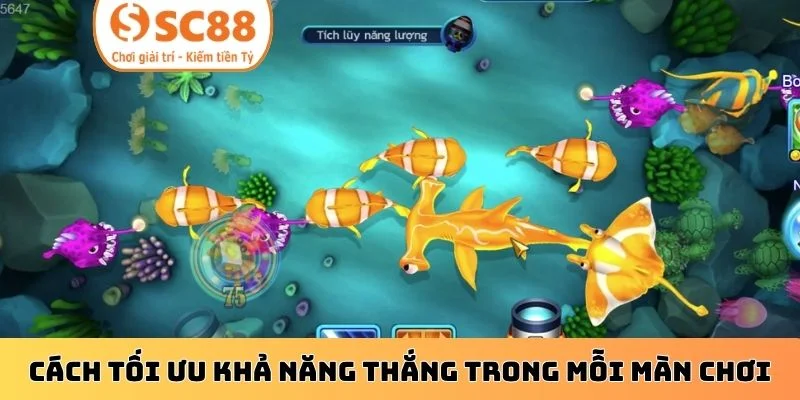 Cách tối ưu khả năng thắng trong mỗi màn chơi