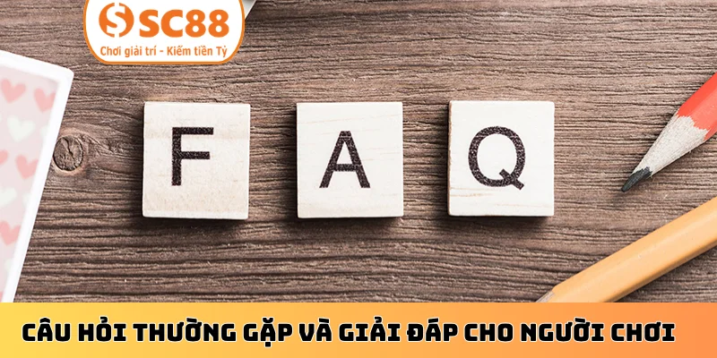 Câu hỏi thường gặp và giải đáp cho người chơi