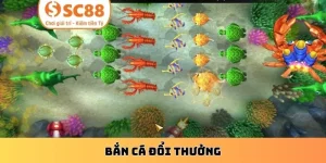 Bắn Cá Đổi Thưởng